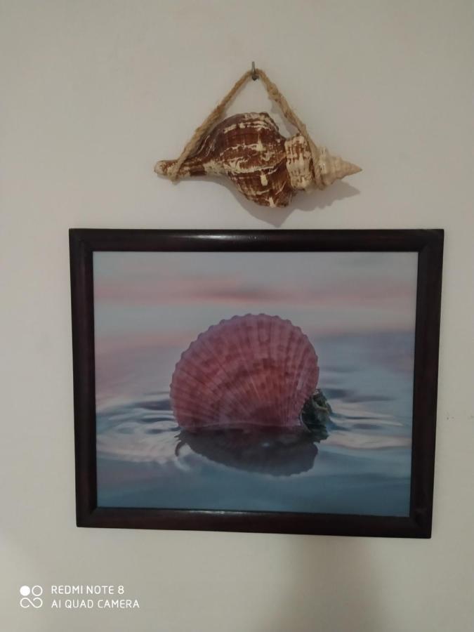 Casa Ohana-Disfruta Del Paraiso ホルボックス島 エクステリア 写真