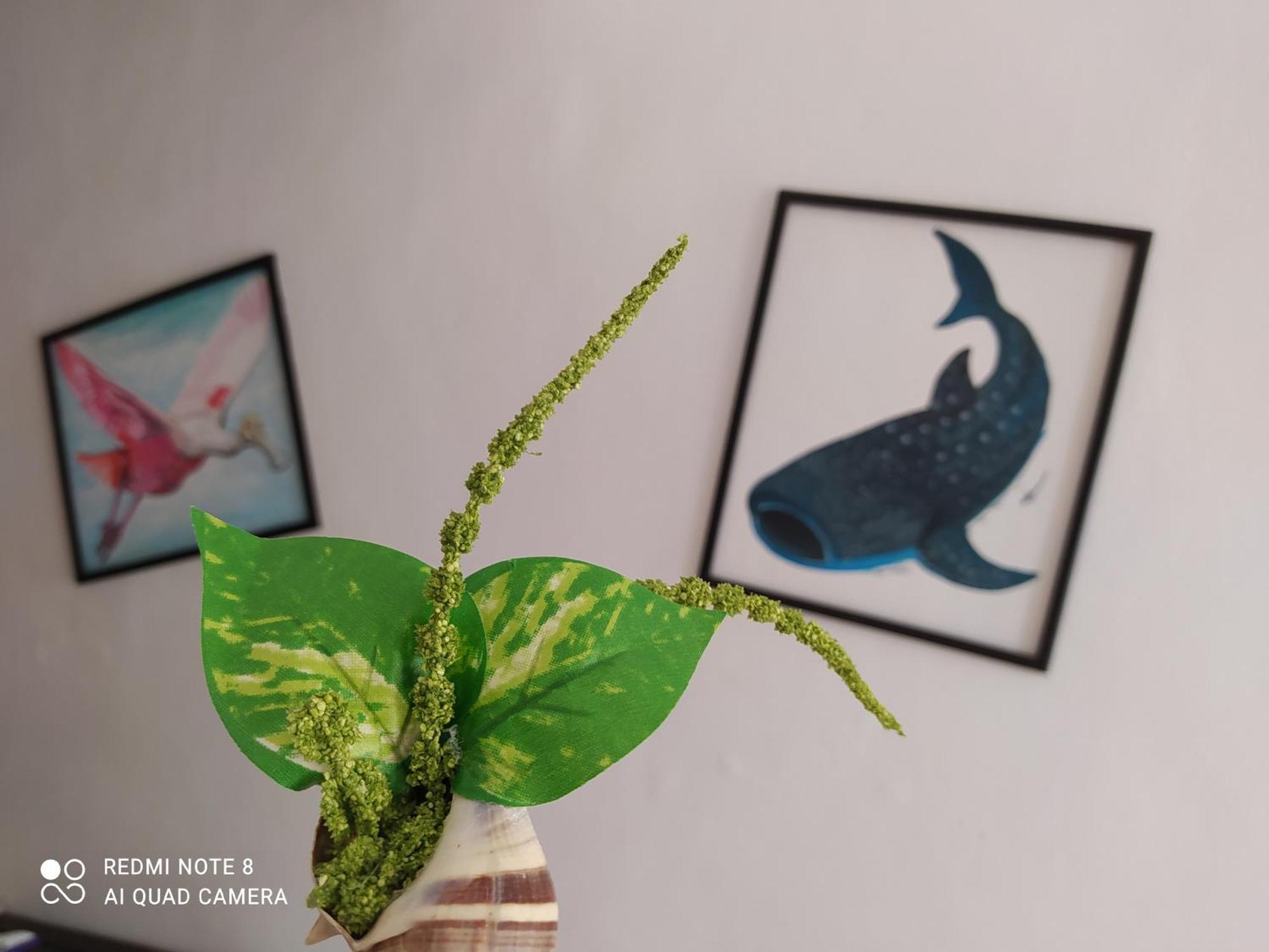 Casa Ohana-Disfruta Del Paraiso ホルボックス島 エクステリア 写真