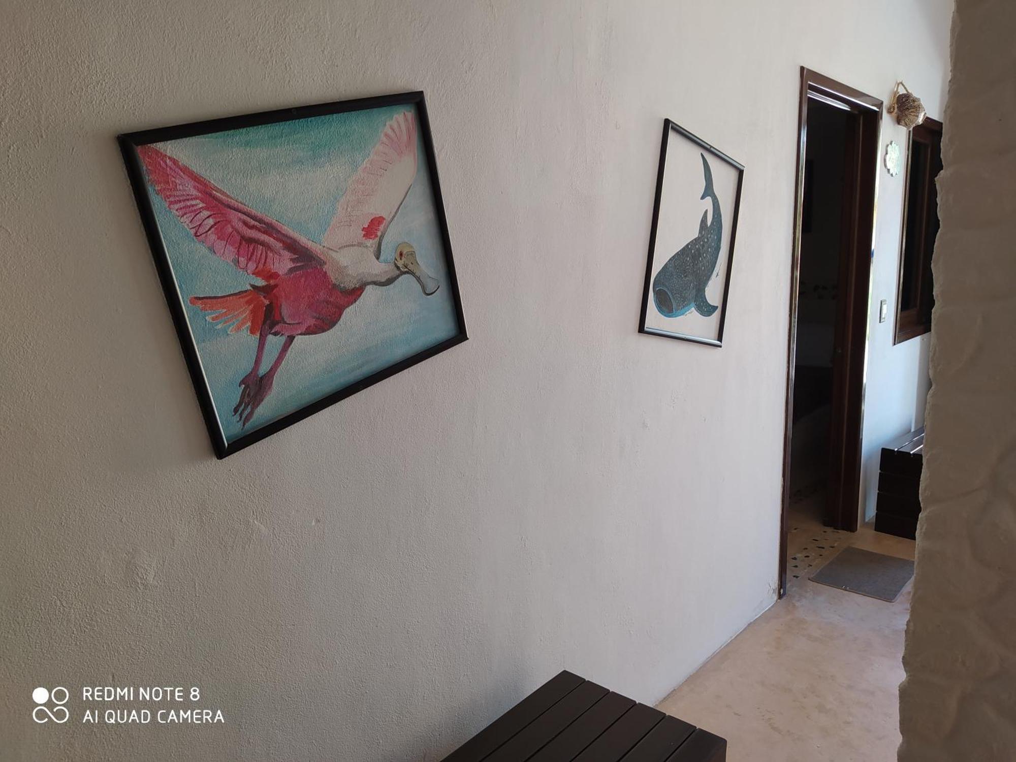 Casa Ohana-Disfruta Del Paraiso ホルボックス島 部屋 写真